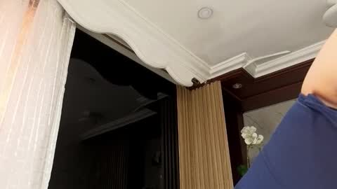   online show from 01/31/26, 07:11