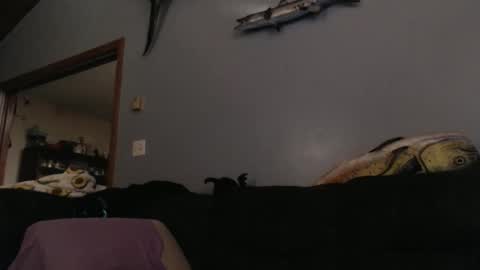 ambers666999 online show from 10/25/25, 02:19
