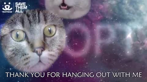 Amber online show from 03/05/25, 03:08