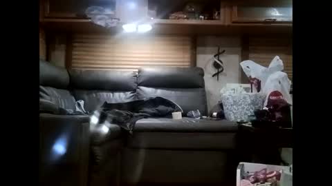 Snapshot of ambionce chatting on 10/21/25, 07:31 ambionce online show from 10/21/25, 07:31