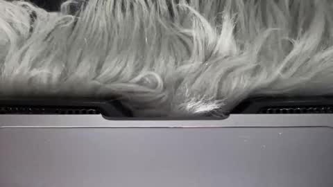 Amelia online show from 03/15/26, 06:58