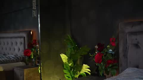  Amelia  online show from 11/20/25, 06:13