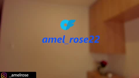 Snapshot of amelrose chatting on 02/17/25, 03:25 ONLYFANS amel rose22 online show from 02/17/25, 03:25