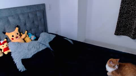 Snapshot of ammanda_ chatting on 04/16/26, 12:00 diana online show from 04/16/26, 12:00