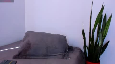 ammy online show from 11/18/25, 02:21