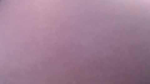 miss unforgettable online show from 02/01/25, 06:10