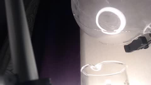 miss unforgettable online show from 02/13/25, 03:50