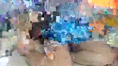 Amuy online show from 02/01/26, 05:17