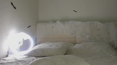 amy1_1 online show from 10/31/25, 01:39