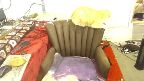 Trashely Gimpson online show from 04/14/26, 08:09