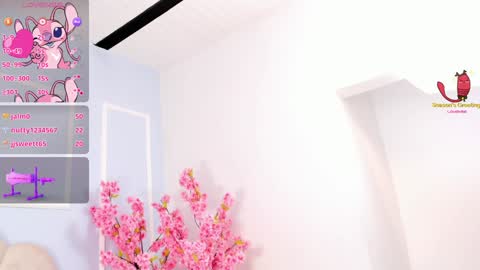 Amykord online show from 01/19/25, 02:47