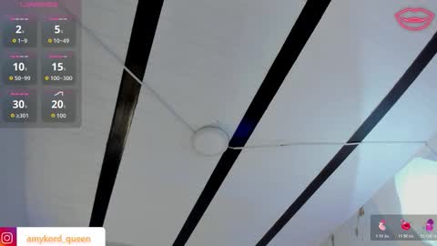 Amykord online show from 11/14/25, 11:31