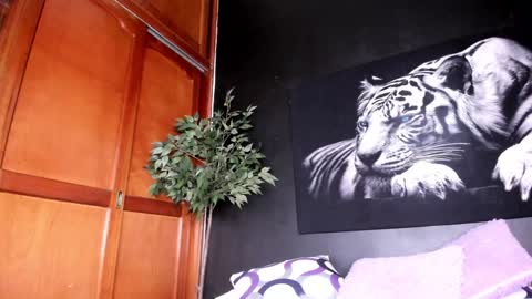 Anahi online show from 12/22/24, 05:42