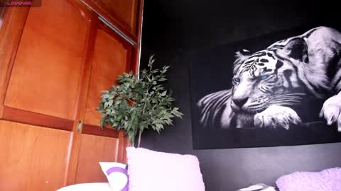 Anahi online show from 12/24/24, 06:33