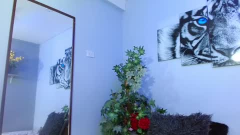 Snapshot of analia_01 chatting on 02/08/25, 03:10 Analia online show from 02/08/25, 03:10