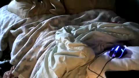 Snapshot of analwhore666 chatting on 01/18/25, 04:53 kinkylilanalslut online show from 01/18/25, 04:53