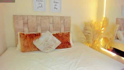 Snapshot of ananya_kay01 chatting on 04/03/26, 12:03 A N A my connection hours are from 600 pm to 12 pm Colombian time online show from 04/03/26, 12:03