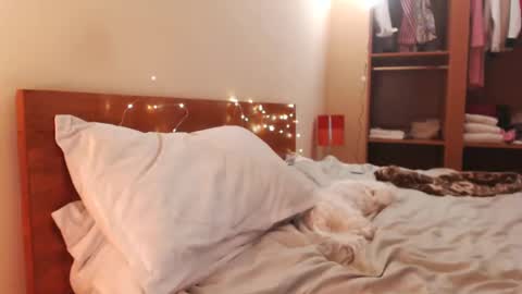 Andra online show from 12/24/24, 06:00