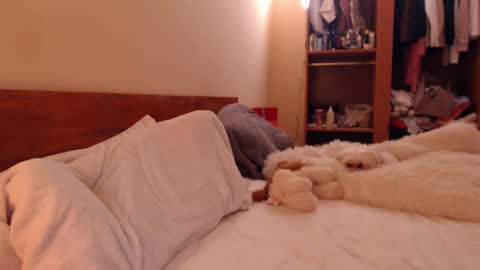 Andra online show from 03/06/25, 07:54