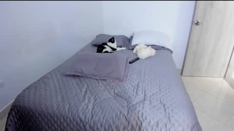 Andrea online show from 03/02/25, 09:43