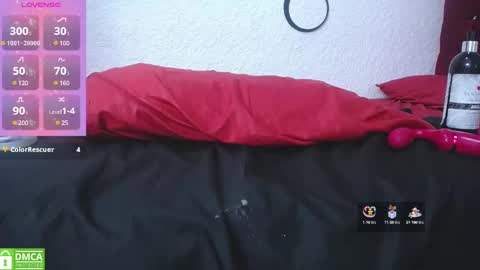 Snapshot of andres992563 chatting on 01/31/25, 08:22 Alann online show from 01/31/25, 08:22