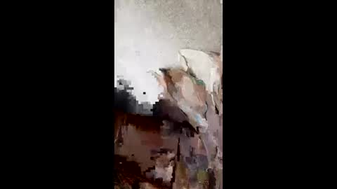 Snapshot of andresvm4796 chatting on 04/25/26, 08:06 andresvm4796 online show from 04/25/26, 08:06