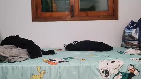 Snapshot of andreudickhard91 chatting on 12/01/24, 08:31 Andreu online show from 12/01/24, 08:31