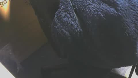 andy503503650759 online show from 12/18/25, 08:20