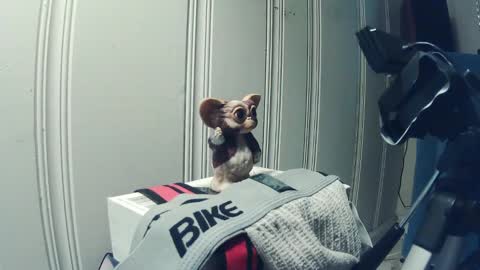 Snapshot of andy_552 chatting on 09/18/25, 01:46 andy_552 online show from 09/18/25, 01:46