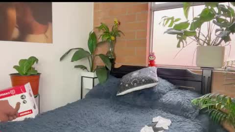 Snapshot of andy_belier chatting on 03/11/26, 12:22 Andy online show from 03/11/26, 12:22