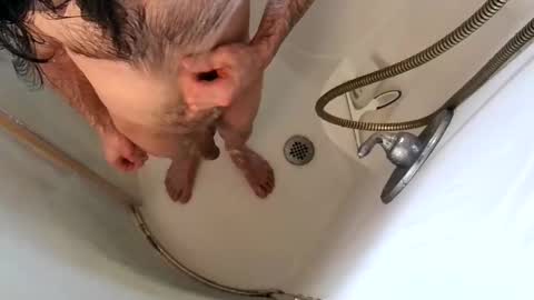 andybadass online show from 02/09/25, 07:09