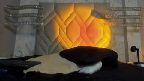 andy palmer online show from 01/05/25, 09:48