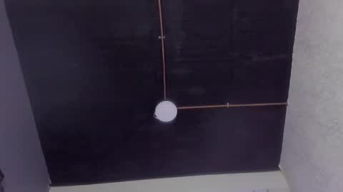 andy palmer online show from 01/21/25, 04:05