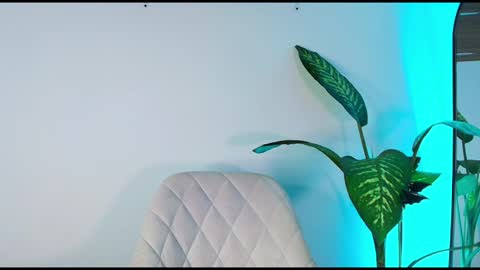 andy palmer online show from 11/06/25, 11:44