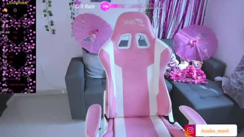 Snapshot of aneko_morii chatting on 12/27/24, 02:54 online show from 12/27/24, 02:54