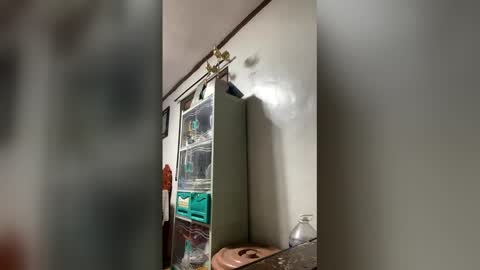 ange011 online show from 03/23/26, 06:06