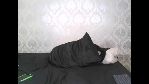 Angel Lein online show from 02/11/25, 07:59