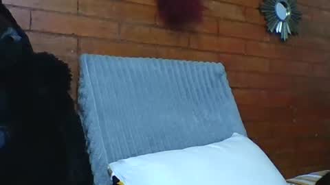  Angela  online show from 12/19/25, 07:10