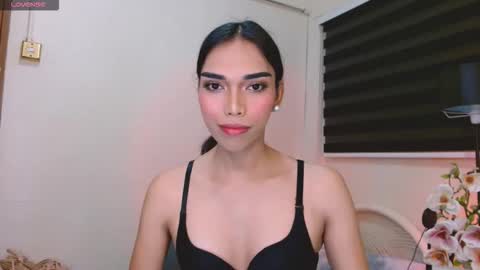 SENORITA online show from 01/12/26, 03:45