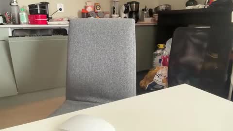 AngelHarly online show from 03/08/25, 10:11