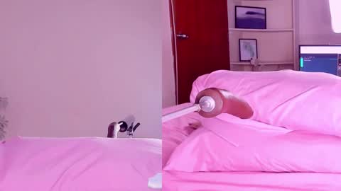 Snapshot of angeli__wu chatting on 02/18/25, 03:21 Angeli online show from 02/18/25, 03:21