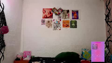   online show from 12/22/24, 09:33