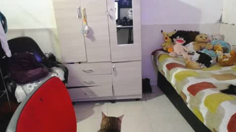 Snapshot of angelswhithe chatting on 09/25/25, 07:06 angels online show from 09/25/25, 07:06