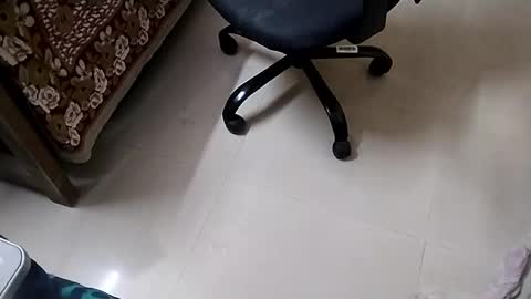 Tutu22 online show from 01/10/25, 11:39