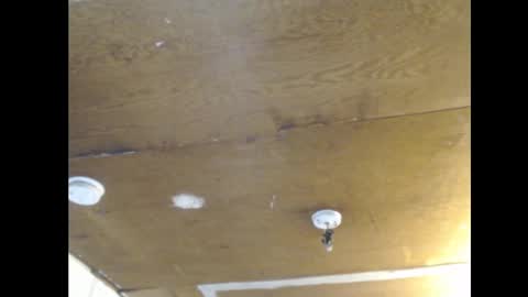 Snapshot of anilyseardor chatting on 02/25/25, 02:11 Ani online show from 02/25/25, 02:11