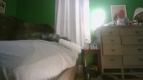 Snapshot of anilyseardor chatting on 02/15/26, 11:30 Ani online show from 02/15/26, 11:30