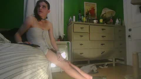 Ani online show from 05/22/26, 09:59