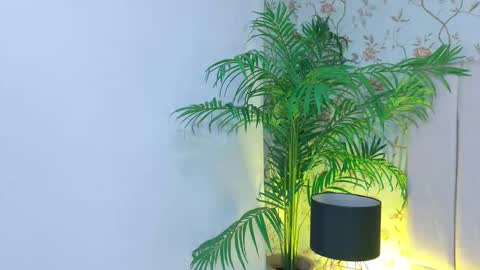 Snapshot of anita_sagegb chatting on 03/19/26, 12:42 Dania Lpez online show from 03/19/26, 12:42