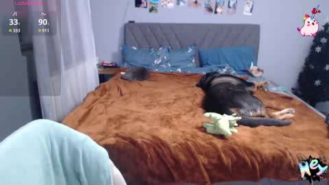 Anadirectgirl online show from 01/08/25, 06:41