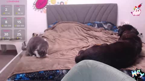 Anadirectgirl online show from 01/08/26, 06:10